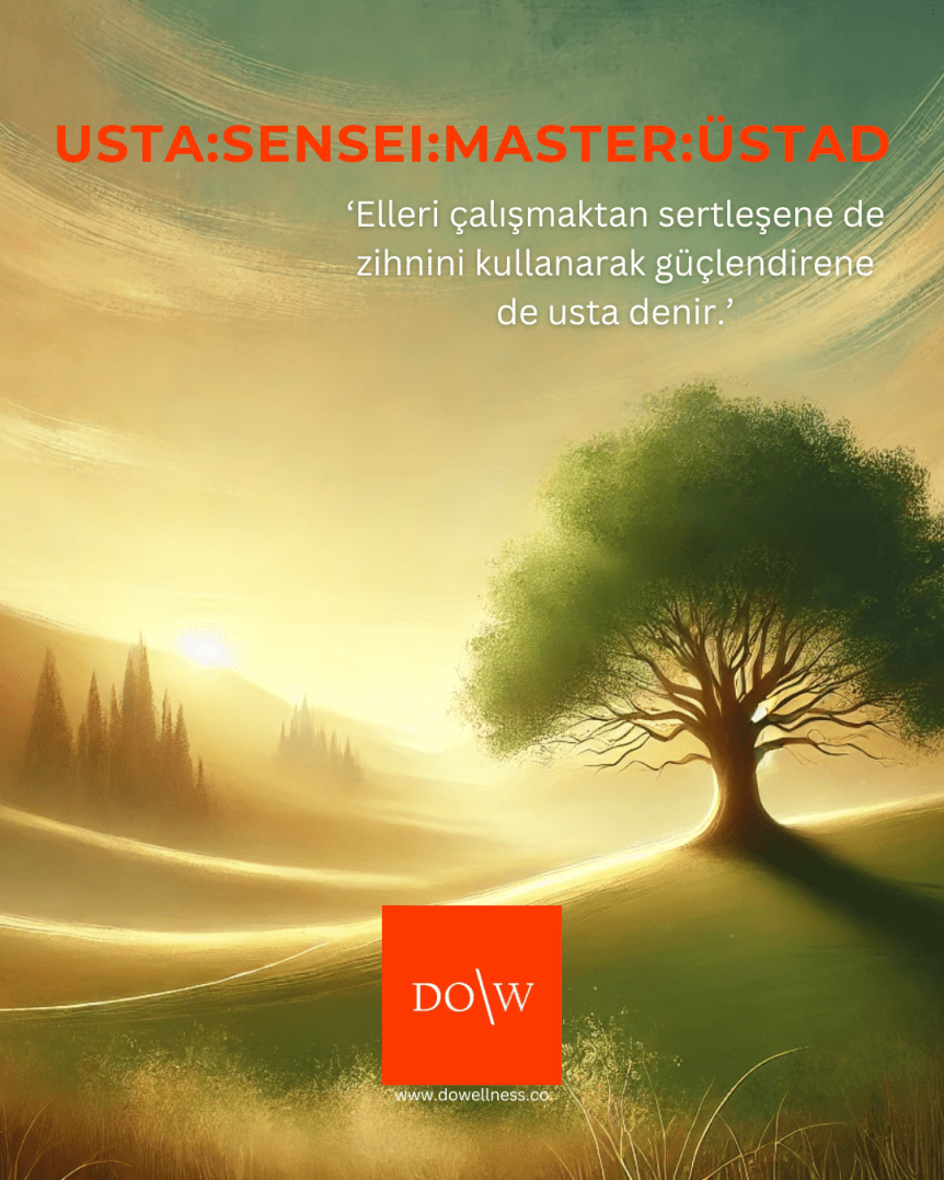 Usta:Sensei:Master:Üstad